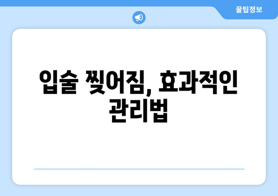 입술 끝 찢어짐 원인 알아보기| 흔한 증상과 해결 솔루션 | 입술 갈라짐, 입술 건조, 입술 습진, 치료 방법