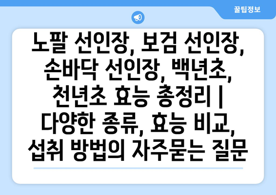 노팔 선인장, 보검 선인장, 손바닥 선인장, 백년초, 천년초 효능 총정리 | 다양한 종류, 효능 비교, 섭취 방법