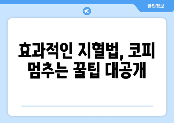 코피 났을 때, 당황하지 말고! 즉석 응급처치 완벽 가이드 | 혈류 막는 방법, 지혈법, 응급처치 단계