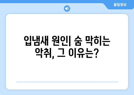 입 냄새 구취 제거! 효과적인 음식 10가지 | 입냄새 원인, 해결 방법, 천연 구취 제거 음식