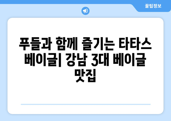 푸들과 함께 즐기는 타타스 베이글 맛집| 서울 강남 3대 베이글 맛집 | 반려견 동반 가능