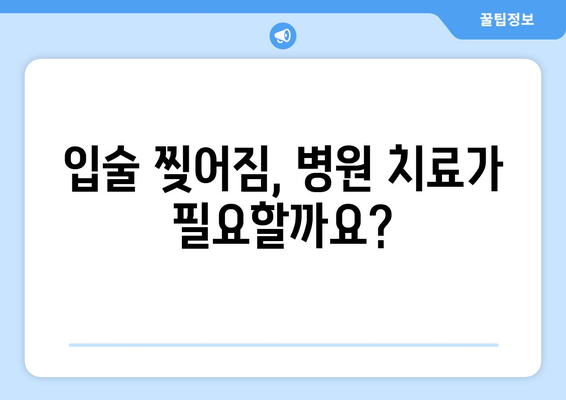 입술 끝 찢어짐 원인 알아보기| 흔한 증상과 해결 솔루션 | 입술 갈라짐, 입술 건조, 입술 습진, 치료 방법