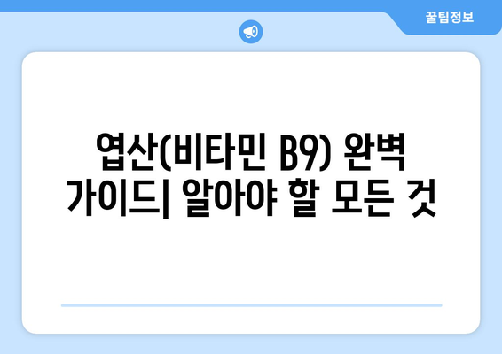 엽산(비타민 B9)의 효능, 부작용, 음식 & 권장 섭취량 완벽 가이드 | 건강, 임산부, 영양