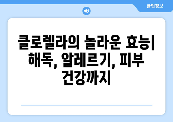 클로렐라 효능, 부작용, 영양성분, 먹는 법 총정리 | 건강, 면역력, 해독, 알레르기