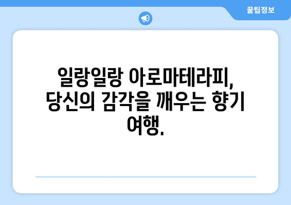 일랑일랑 에센셜 오일 효과| 몸과 마음을 편안하게 하는 향기의 비밀 | 아로마테라피, 스트레스 해소, 릴렉싱