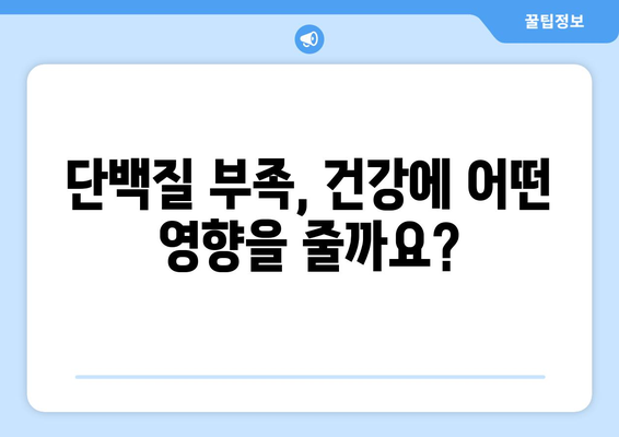 단백질 하루 권장 섭취량, 제대로 알고 먹어야 건강해진다! | 단백질, 건강, 영양, 식단, 섭취 가이드