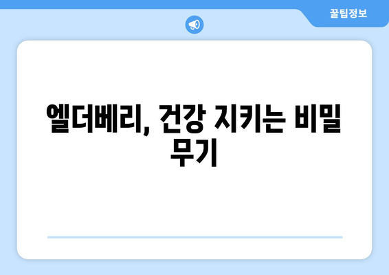 엘더베리 효능, 부작용, 영양 성분, 먹는 법 총정리 | 건강, 면역력, 엘더베리 효능, 섭취 방법, 주의 사항