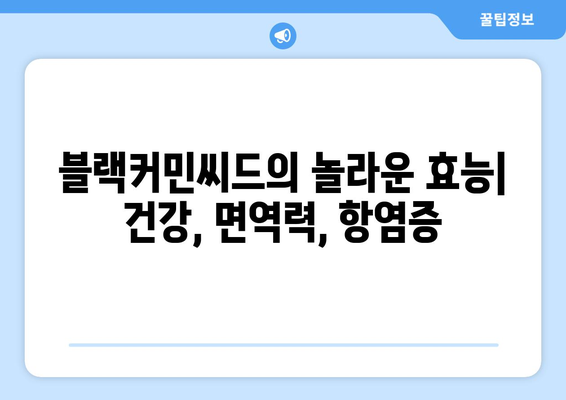 블랙커민씨드 효능| 죽음 빼고 모든 질병을 치료할 수 있을까? | 건강, 면역력, 항염증, 블랙씨드 효능, 사용법