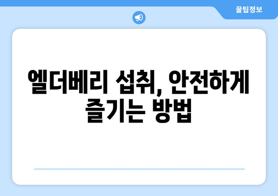 엘더베리 효능, 부작용, 영양 성분, 먹는 법 총정리 | 건강, 면역력, 엘더베리 효능, 섭취 방법, 주의 사항