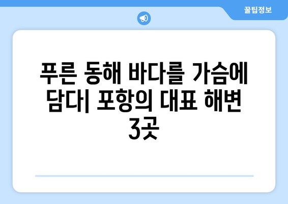 포항 여행, 바다와 문화를 만끽하다! | 추천 명소 & 숨겨진 보석 5곳