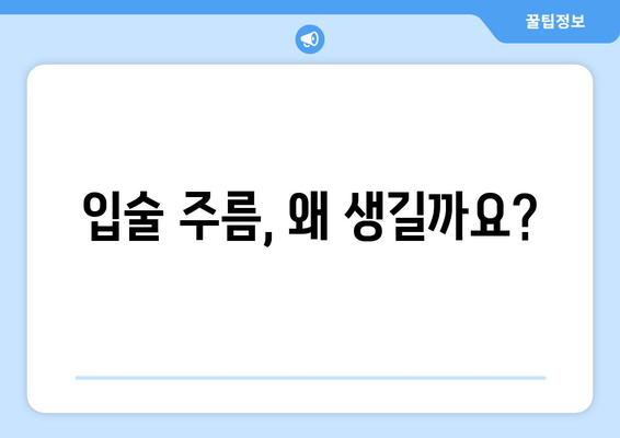 입술 주름, 이제 걱정하지 마세요! 예방과 관리의 모든 것 | 원인, 해결책, 효과적인 관리법