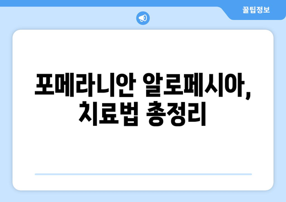 포메라니안 털 빠짐 걱정 끝! 🐶  알로페시아 관리 핵심 가이드 | 탈모 원인, 예방법, 치료법