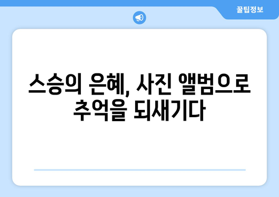 대전보건대학교 스승의 날 감동 순간 모음집 | 사진 앨범으로 만나는 따뜻한 기억