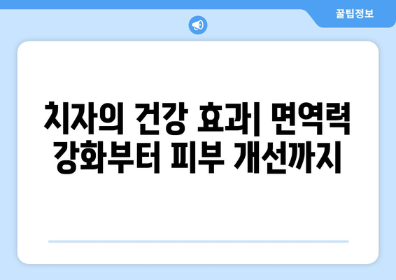 치자의 모든 것| 효능, 부작용, 이용법, 향긋한 치자꽃차 끓이는 법 | 치자차, 치자 효능, 치자 부작용, 치자 이용, 치자꽃차 만드는 법