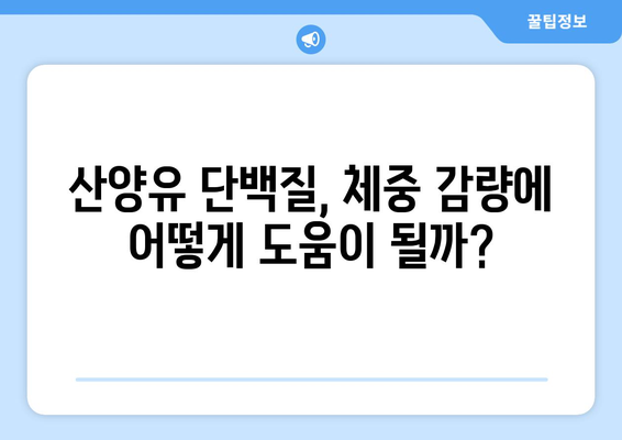 산양유 단백질, 체중 감량 다이어트에 효과적인가요? 효능부터 먹는 법까지 완벽 가이드 | 산양유, 단백질, 체중 감량, 다이어트, 건강