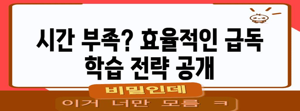 사회조사분석사 급독 | 비전공자 독학 합격 노하우 대 공개