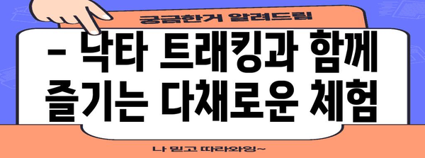 제주 낙타 트래킹 | 잊지 못할 경험을 위한 5가지 액티비티