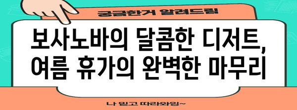 속초 보사노바에서 즐기는 명품 커피와 디저트 | 여름의 달콤한 휴식