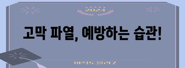 고막 터짐 대처법 | 증상, 치료법, 수술 시행 여부 판단