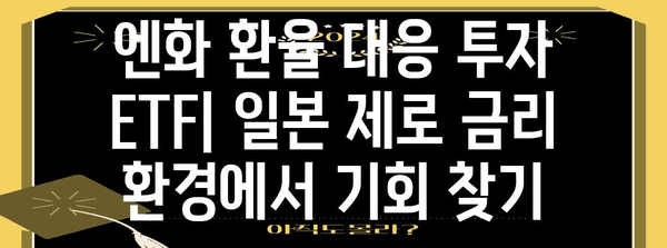 엔화 환율 대응 투자 ETF | 일본 제로 금리 환경에서 기회 찾기