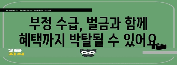 실업급여 부정 수급 대처 가이드 | 발견, 방법, 대책