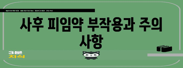 사후 피임약 사용 가이드 | 안전하고 효과적인 사용법 숙지하기