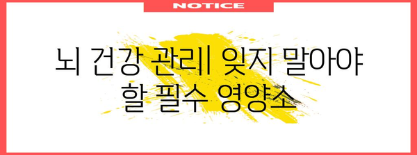 기억력과 건강 관리를 위한 전문가 팁