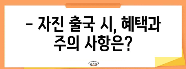 불법체류자 대응 가이드 | 자진 출국 절차 이해하기