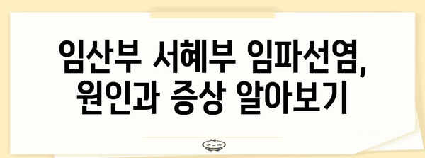 임산부 서혜부 임파선염 해결책