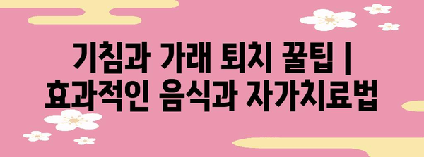 기침과 가래 퇴치 꿀팁 | 효과적인 음식과 자가치료법