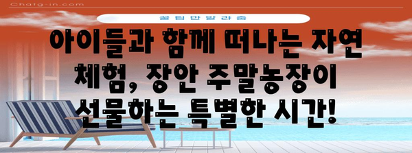 도시 속 피난처 | 장안 주말농장