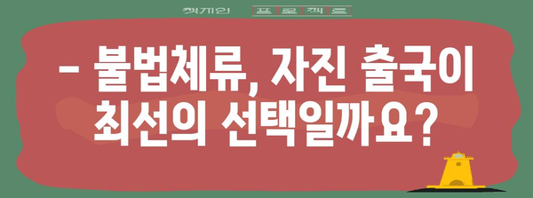 불법체류자 대응 가이드 | 자진 출국 절차 이해하기