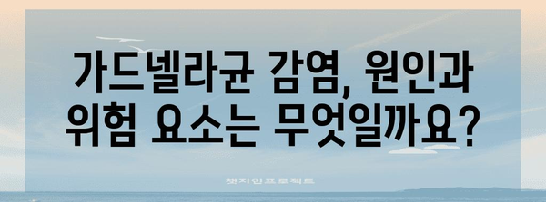 가드넬라균 감염 | 증상, 치료법