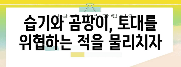 목조주택 토대 셀프 관리 가이드 | 초보자를 위한 단계별 지침