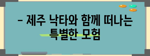 제주 낙타 트래킹 | 잊지 못할 경험을 위한 5가지 액티비티