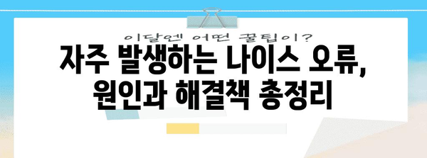 연말정산 나이스 오류 해결 솔루션| 자주 발생하는 오류 & 해결 방법 총정리 | 연말정산, 나이스, 오류 해결, 팁, 가이드