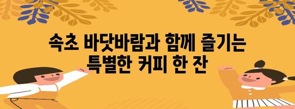 속초 보사노바에서 즐기는 명품 커피와 디저트 | 여름의 달콤한 휴식