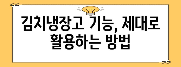 냉장고 김치냉장고 차별화 가이드 | 최고의 김치 보존법