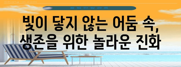 마리아나 해구| 지구에서 가장 깊은 심해의 비밀 | 심해 탐험, 해구, 지형, 생물