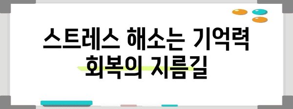 기억력과 건강 관리를 위한 전문가 팁