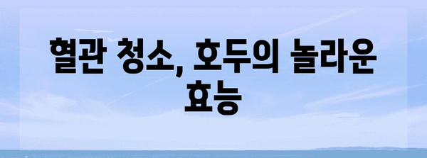 심장의 수호자 | 호두의 놀라운 효능