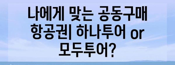 공동구매 항공권 득템하기 | 하나투어 vs. 모두투어