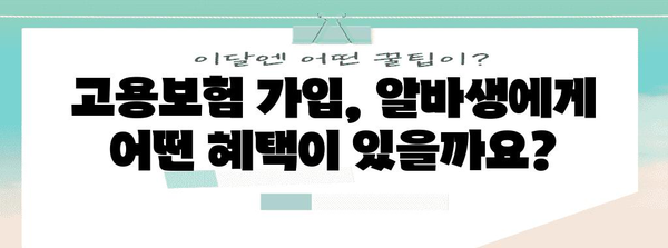 알바 고용보험 가입주의 | 초과 근무료 챙기기