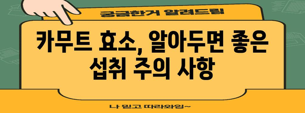 카무트 효소 | 부작용 없이 섭취하는 팁