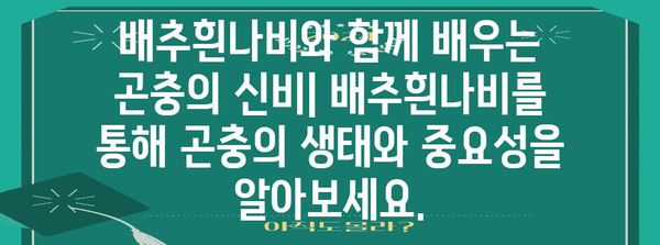 배추흰나비의 한살이| 애벌레에서 나비까지 | 배추흰나비, 생태, 관찰, 곤충