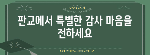 감사를 전하는 특별한 판교 선물 5가지 추천