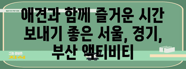 애견과 함께 특별한 데이트 장소 | 서울, 경기, 부산 소개