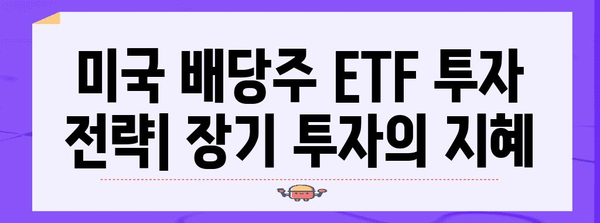 미국 배당주 ETF 투자 101 | 안정적 수익을 위한 길잡이