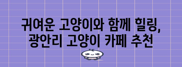 광안리 고양이 데이트 코스 | 로맨틱한 하루를 위한 고양이 카페와 맛집