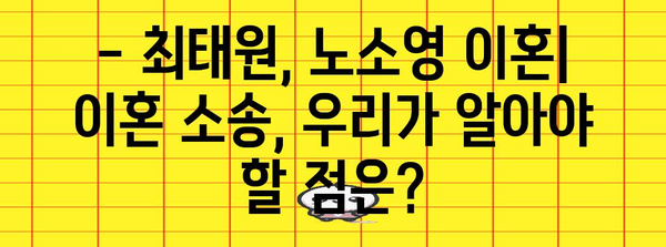 최태원, 노소영 이혼 완전 가이드 | 1조 3800억원 재산 분할